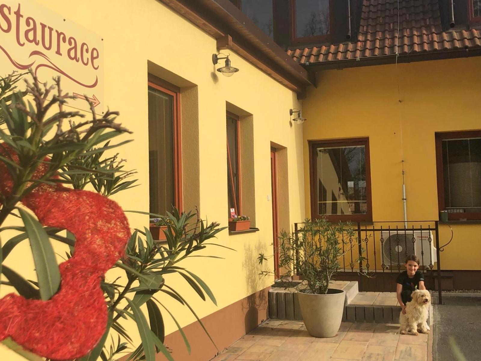 Penzion A Restaurace Zlatovlaska U Zamku Cervena Lhota Jizna Exterior photo